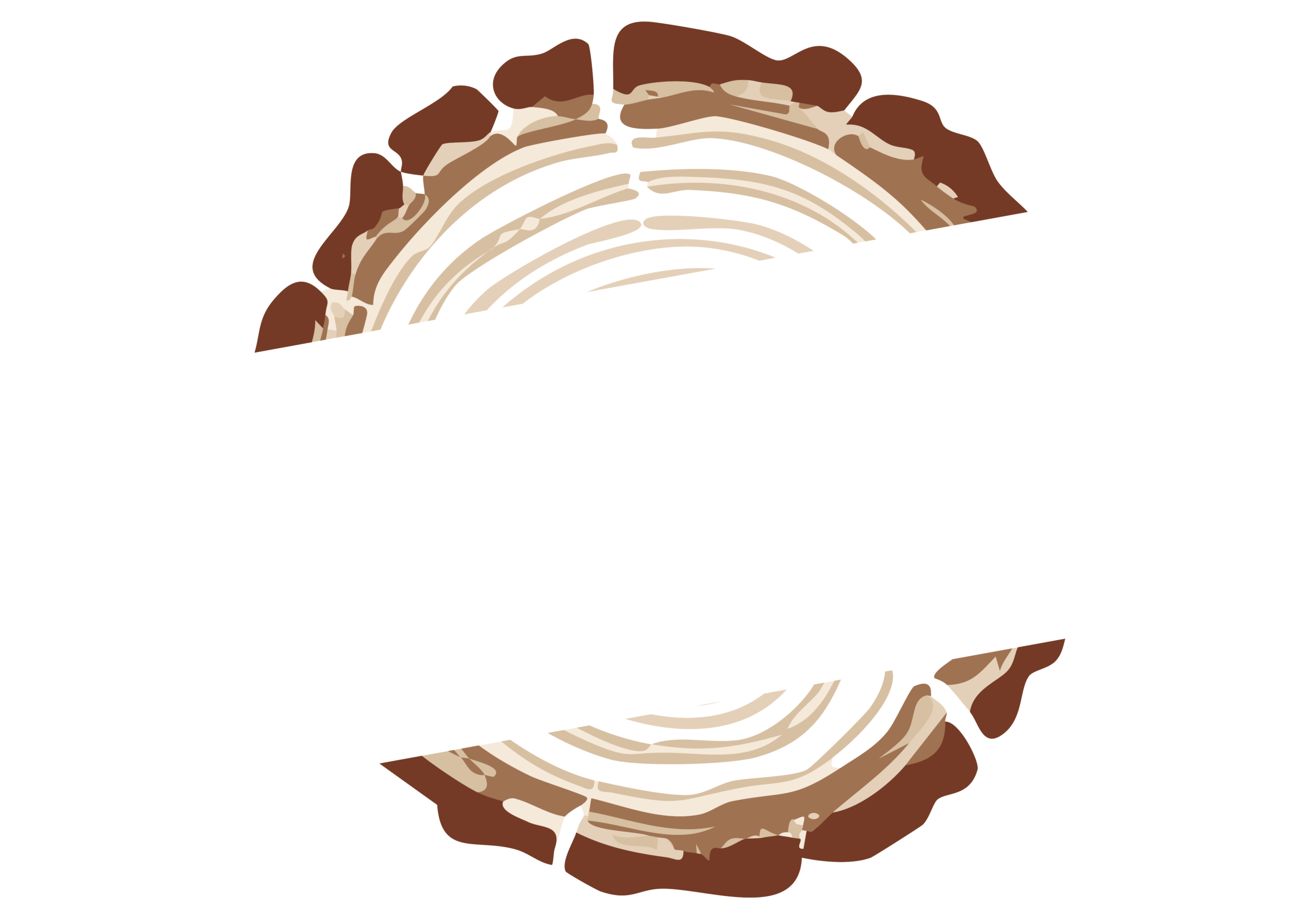 Tree Stump Solutions LLC Stump Grinding